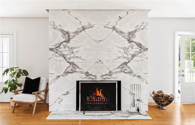 room details featuring a premium fireplace and wood finished floors