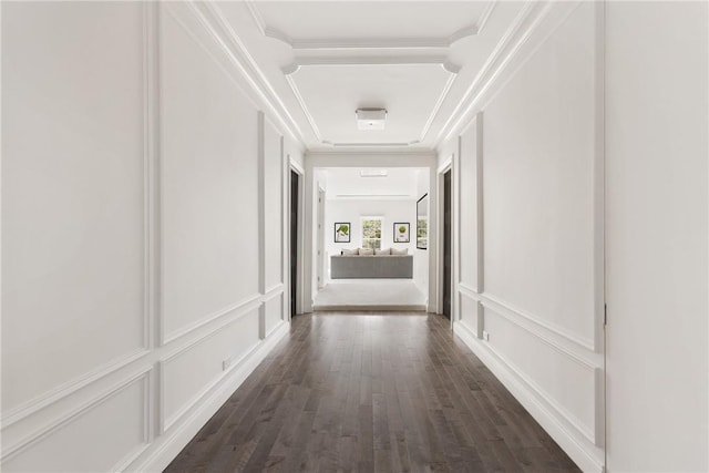 hallway featuring ornamental molding, a decorative wall, and dark wood-type flooring