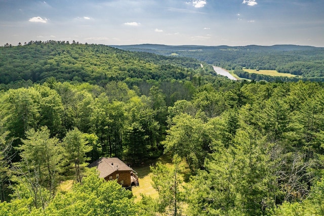 375 County Road 114, Cochecton, NY 12726 - photo 4