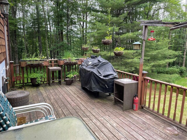 375 County Road 114, Cochecton, NY 12726 - photo 33
