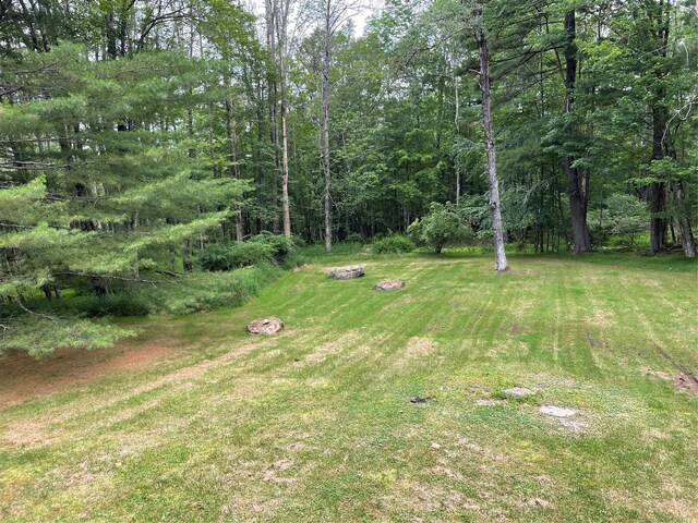 375 County Road 114, Cochecton, NY 12726 - photo 34