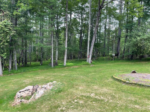 375 County Road 114, Cochecton, NY 12726 - photo 35