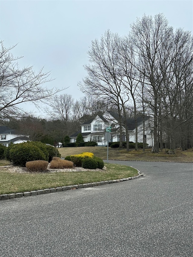 view of street featuring curbs
