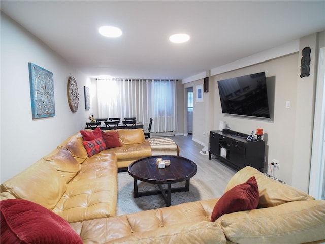 living room featuring wood finished floors
