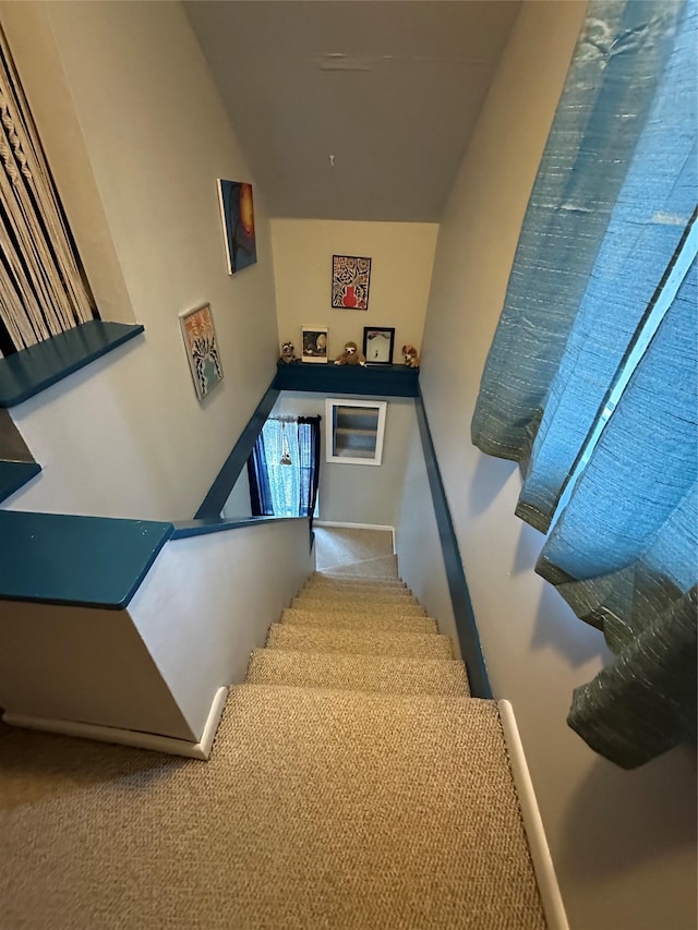 staircase featuring carpet flooring