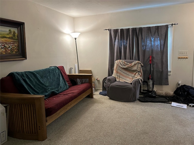 view of carpeted living area