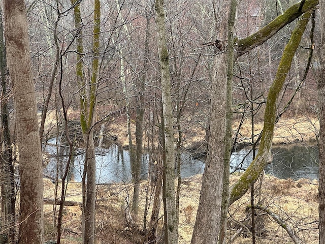 water view with a wooded view