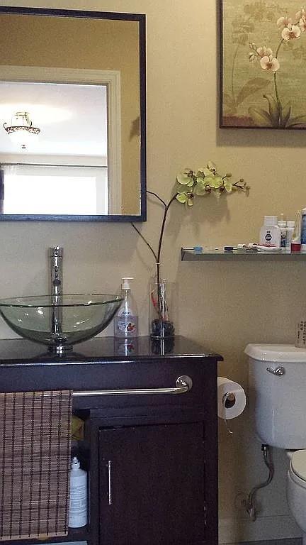 bathroom with toilet and vanity