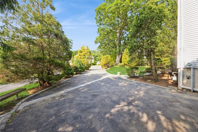 3 Benjamin Ct, Ardsley, NY 10502 - view of asphalt driveway
