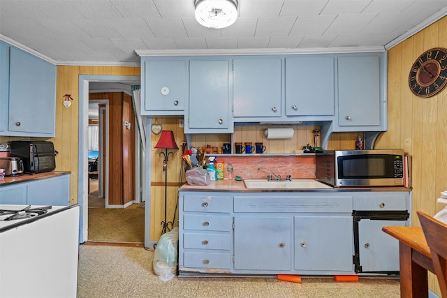 53 Dill Rd, Forestburgh, NY 12777 - kitchen featuring blue cabinetry, wood walls, stainless steel microwave, a sink, and light carpet