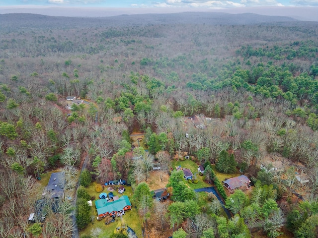 34 Hunczak Blvd, Glen Spey, NY 12737 - drone / aerial view with a forest view
