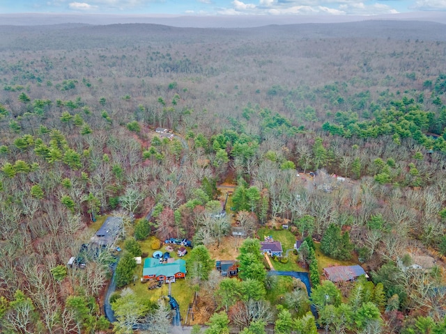 34 Hunczak Blvd, Glen Spey, NY 12737 - birds eye view of property featuring a wooded view