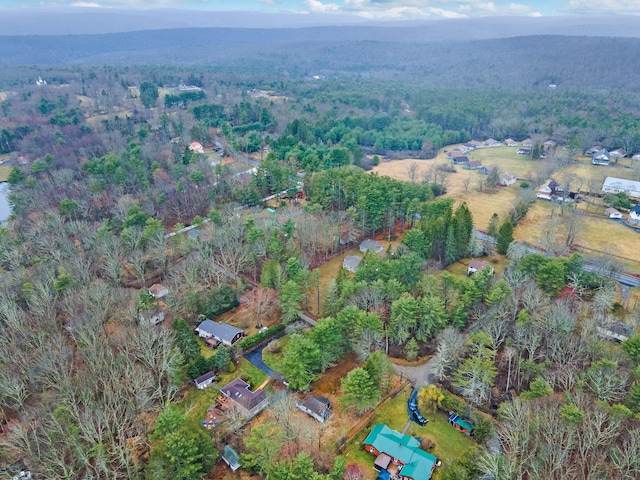 34 Hunczak Blvd, Glen Spey, NY 12737 - aerial view featuring a wooded view