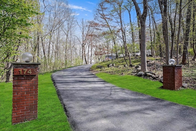 view of road featuring driveway