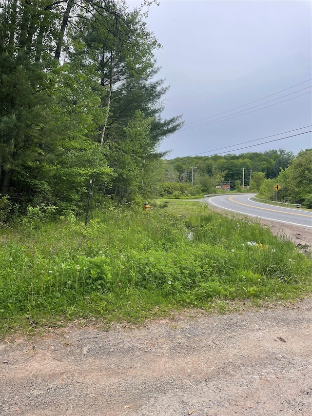 39 Birch Ln, Swan Lake, NY 12783