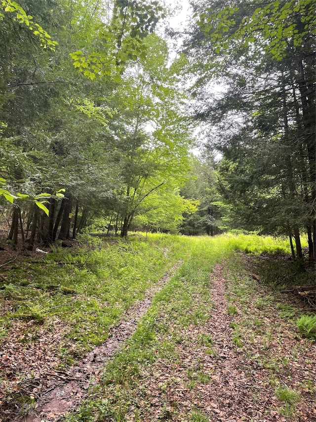 39 Birch Ln, Swan Lake, NY 12783