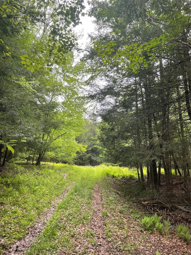 39 Birch Ln, Swan Lake, NY 12783