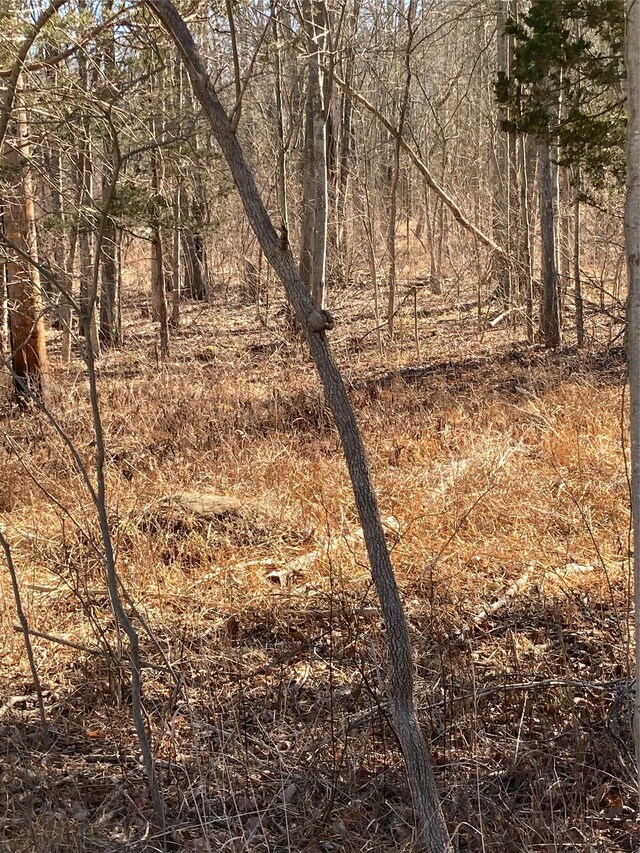799 Albany Post Rd, Gardiner, NY 12525 - photo 3