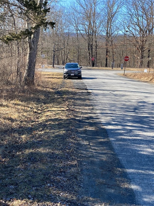 799 Albany Post Rd, Gardiner, NY 12525 - photo 8