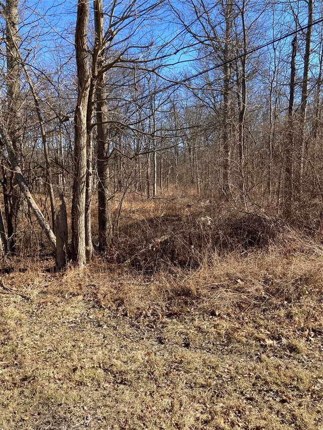 799 Albany Post Rd, Gardiner, NY 12525 - photo 9