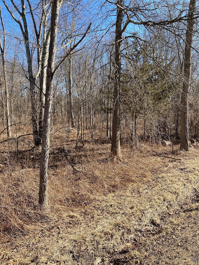 799 Albany Post Rd, Gardiner, NY 12525 - photo 12