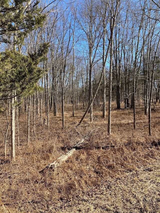 799 Albany Post Rd, Gardiner, NY 12525 - photo 13