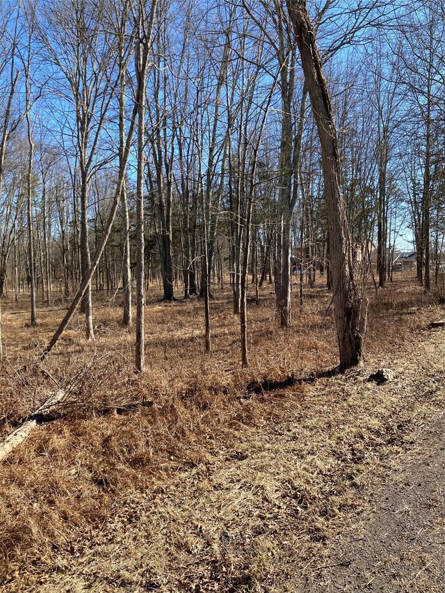 799 Albany Post Rd, Gardiner, NY 12525 - photo 14