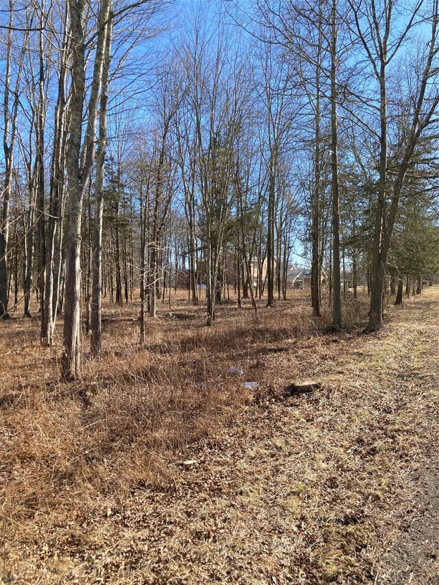 799 Albany Post Rd, Gardiner, NY 12525 - photo 15