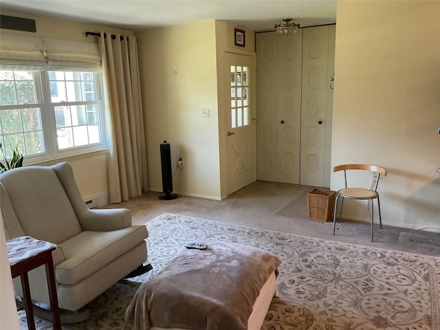 living area featuring baseboards and carpet