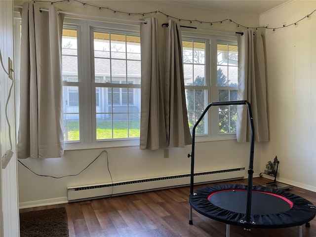 exercise area featuring a baseboard radiator, baseboards, wood finished floors, and a wealth of natural light