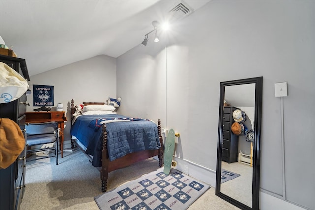 160 Mill St, Wallkill, NY 12589 - carpeted bedroom featuring vaulted ceiling and a baseboard radiator