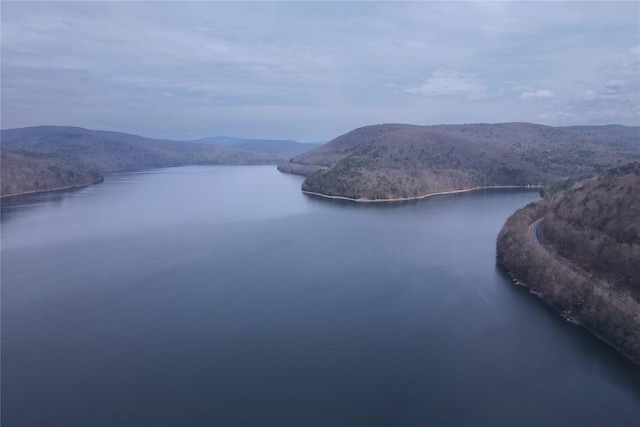 69 Bridge St, Downsville, NY 13755 - water view with a mountainous background