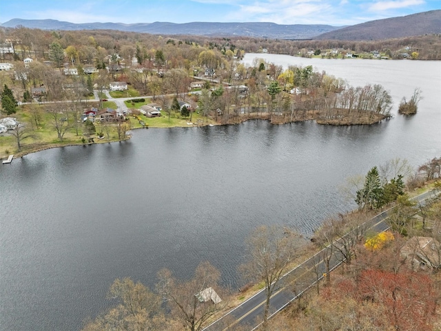 18 Valley Dr, Salisbury Mills, NY 12577 - photo 45