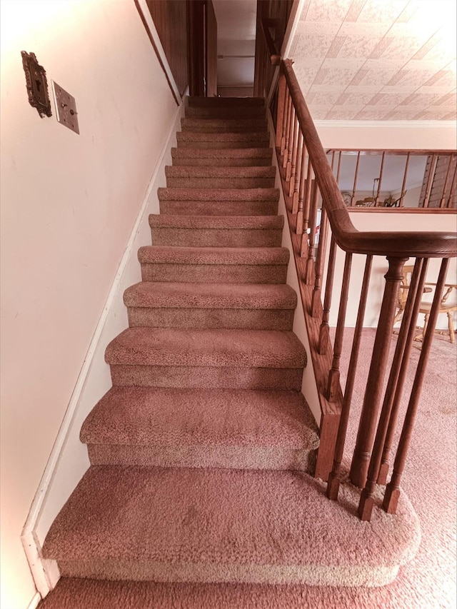 stairs featuring carpet
