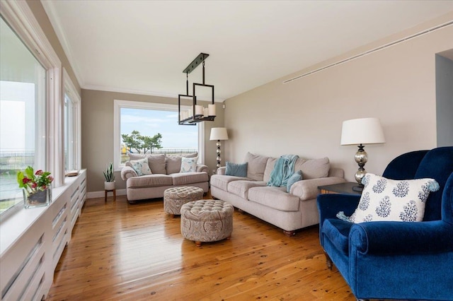 living room featuring ornamental molding and light wood-type flooring