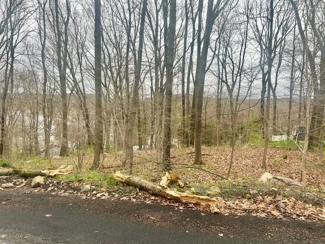 Wingdale Rd, Carmel, NY 10512 - photo 1