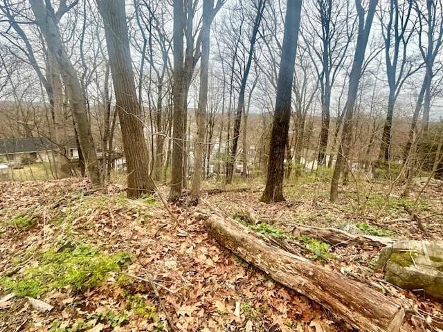 Wingdale Rd, Carmel, NY 10512 - photo 4