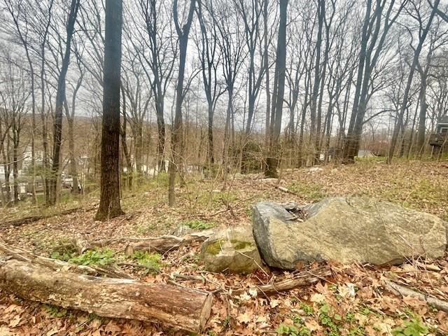 Wingdale Rd, Carmel, NY 10512 - photo 5