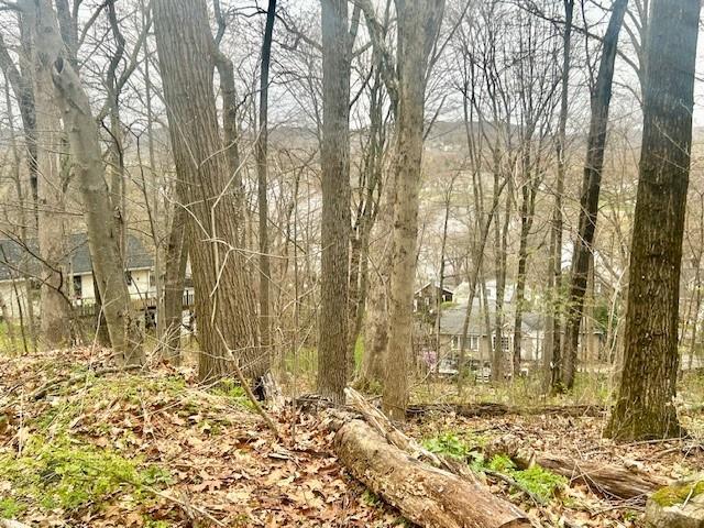 Wingdale Rd, Carmel, NY 10512 - photo 7