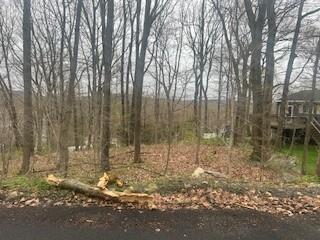 Wingdale Rd, Carmel, NY 10512 - photo 8