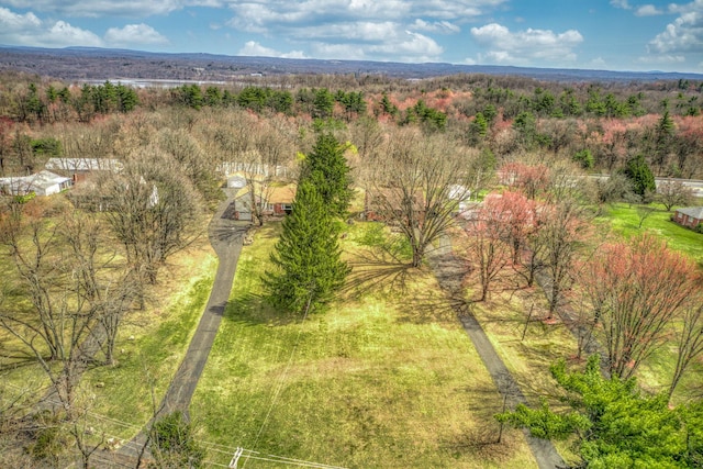 bird's eye view