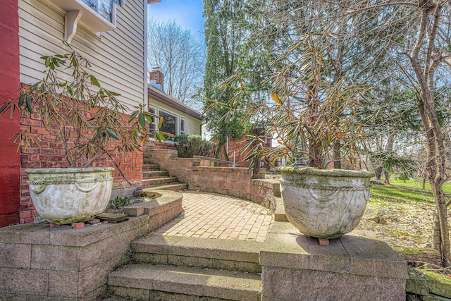 view of yard with a patio area