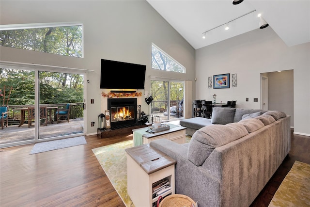 18 Warner Ct, Baiting Hollow, NY 11933 - living room featuring a glass covered fireplace, dark wood-style flooring, baseboards, track lighting, and high vaulted ceiling