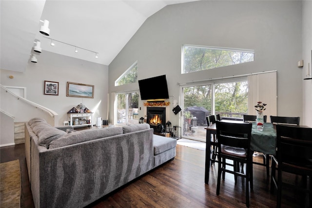 18 Warner Ct, Baiting Hollow, NY 11933 - living room with rail lighting, dark wood finished floors, high vaulted ceiling, and a glass covered fireplace