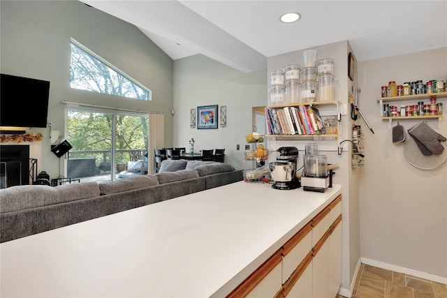 18 Warner Ct, Baiting Hollow, NY 11933 - kitchen featuring baseboards, a fireplace, open floor plan, light countertops, and stone finish floor