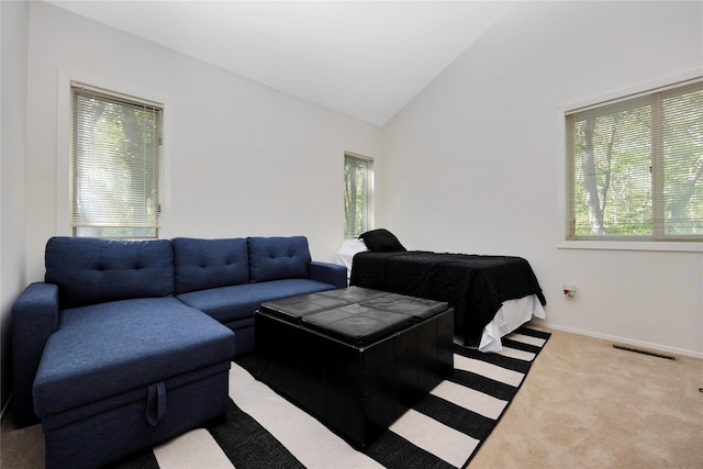 18 Warner Ct, Baiting Hollow, NY 11933 - living area with carpet floors, lofted ceiling, visible vents, and a healthy amount of sunlight
