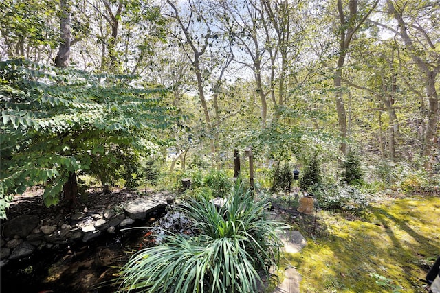 18 Warner Ct, Baiting Hollow, NY 11933 - view of landscape with a wooded view