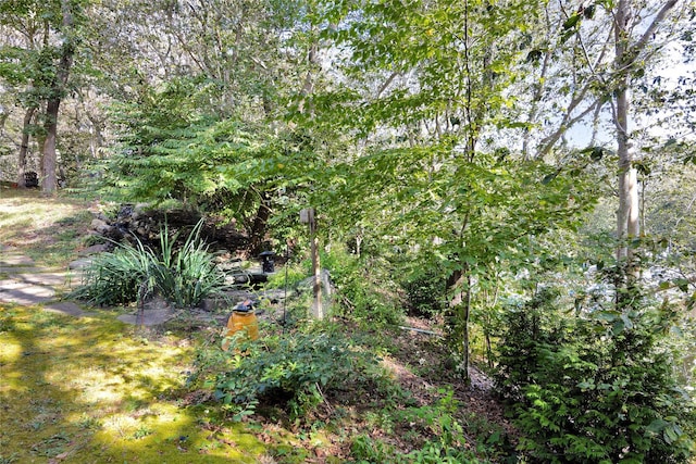 18 Warner Ct, Baiting Hollow, NY 11933 - view of local wilderness with a forest view