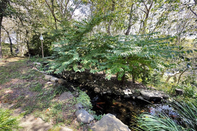 18 Warner Ct, Baiting Hollow, NY 11933 - view of landscape with a view of trees