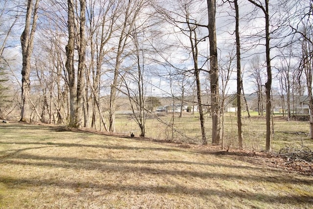 50 Carlo Dr, Kerhonkson, NY 12446 - photo 22